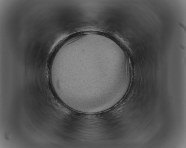 X0000091911408200710031010