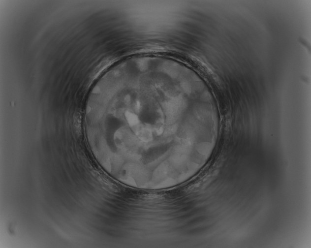 X0000091911409200710031010