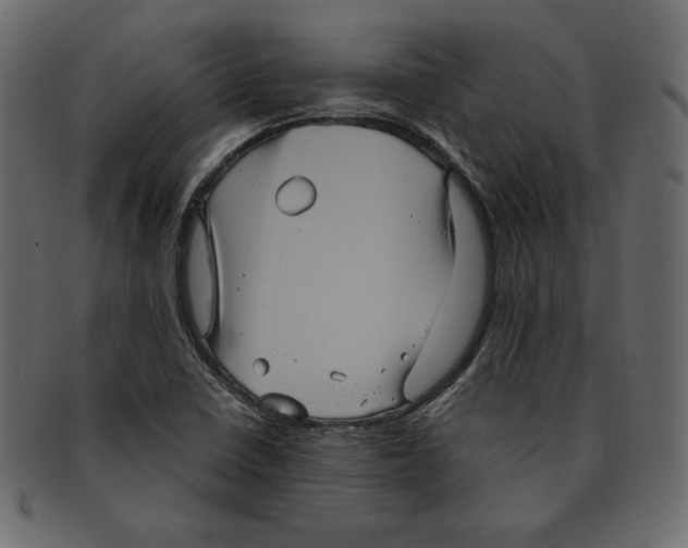 X0000091911410200710031010