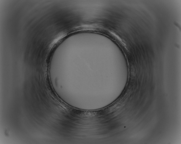 X0000091911411200710031010