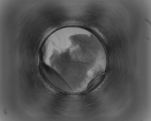 X0000091911413200710031010