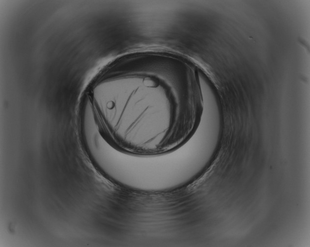 X0000091911414200710031010