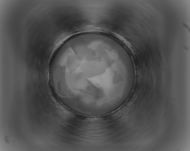 X0000091911415200710031010