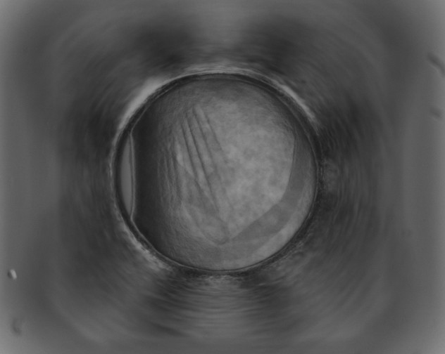 X0000091911416200710031010