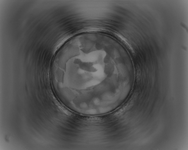 X0000091911417200710031010