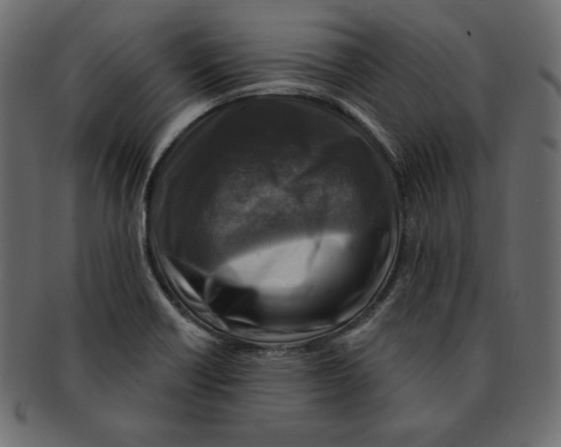 X0000091911418200710031010