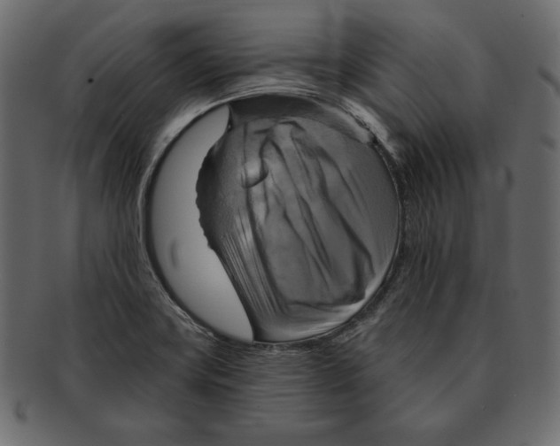 X0000091911419200710031010