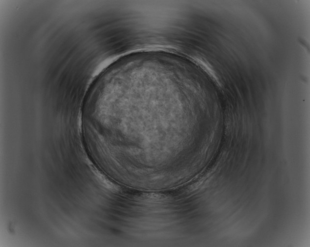 X0000091911420200710031010