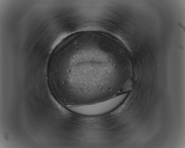 X0000091911422200710031010