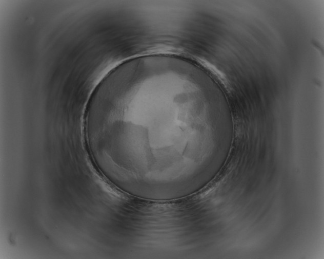 X0000091911423200710031010