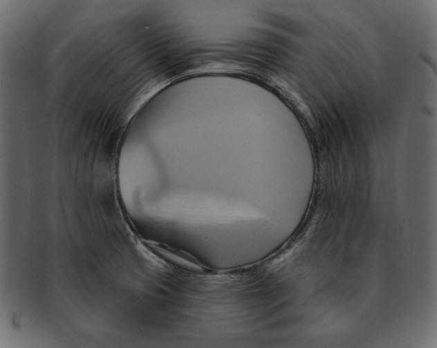 X0000091911425200710031010