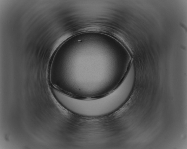 X0000091911426200710031010