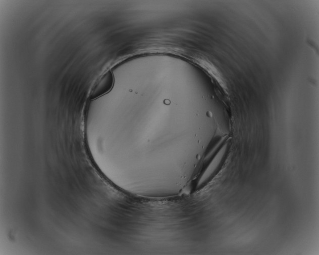 X0000091911428200710031010