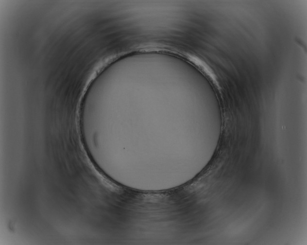 X0000091911429200710031010