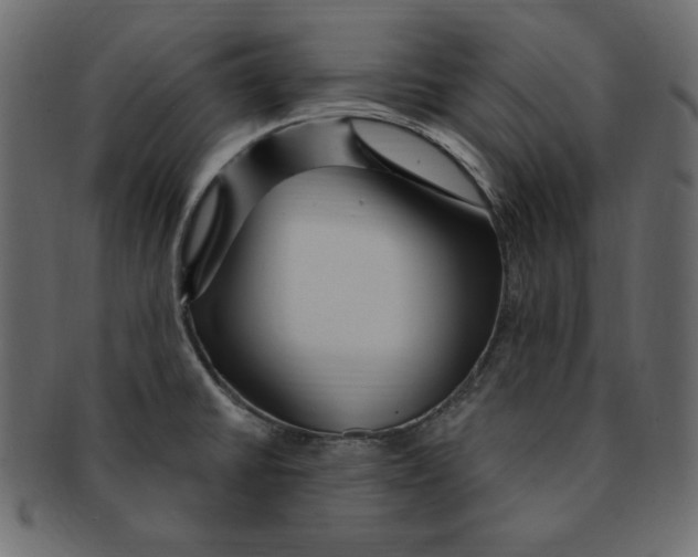 X0000091911430200710031010