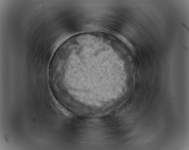 X0000091911431200710031010