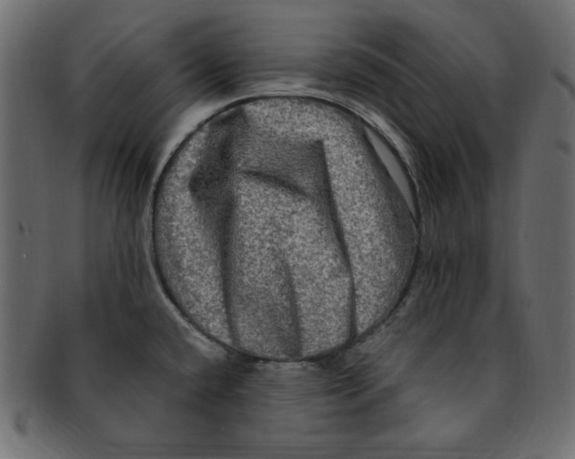 X0000091911432200710031010