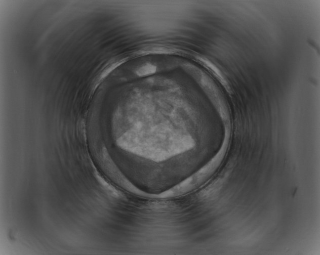 X0000091911433200710031010