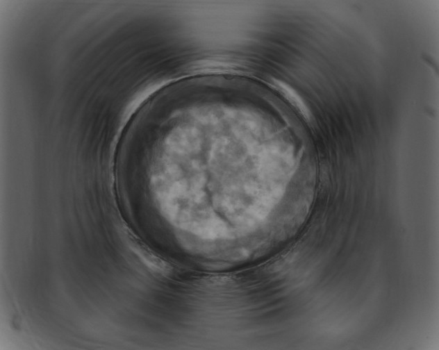 X0000091911435200710031010