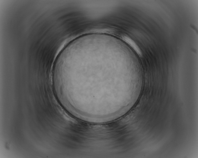 X0000091911436200710031010