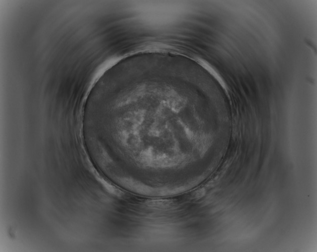 X0000091911437200710031010