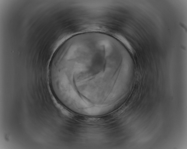 X0000091911439200710031011