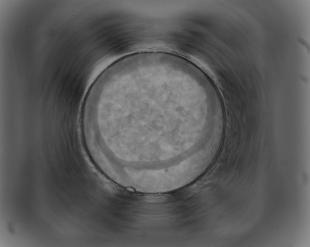 X0000091911440200710031011