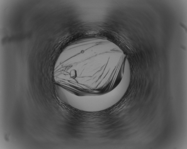 X0000091911441200710031010