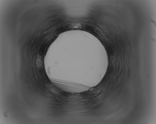 X0000091911442200710031010