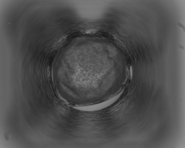 X0000091911443200710031010