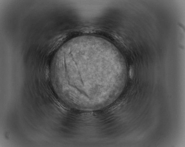 X0000091911444200710031010