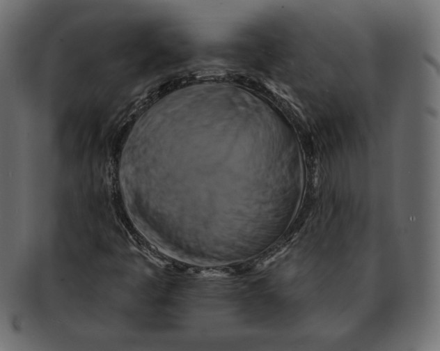 X0000091911445200710031010