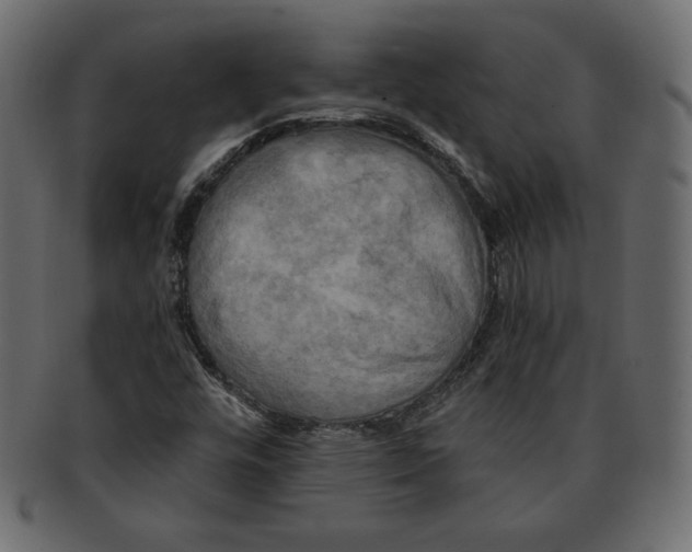 X0000091911448200710031010