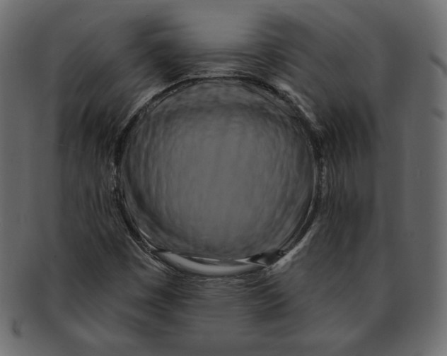 X0000091911449200710031010