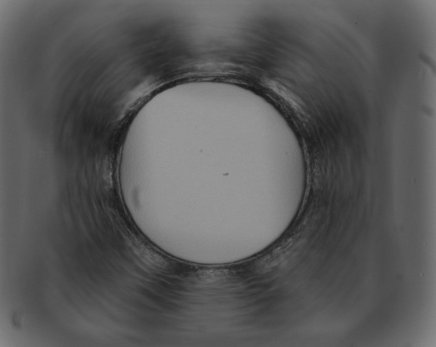 X0000091911451200710031010