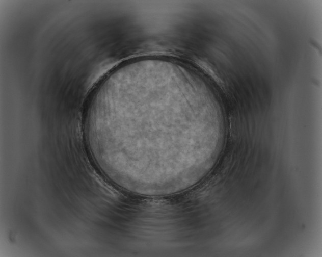 X0000091911452200710031010