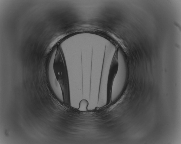 X0000091911453200710031010