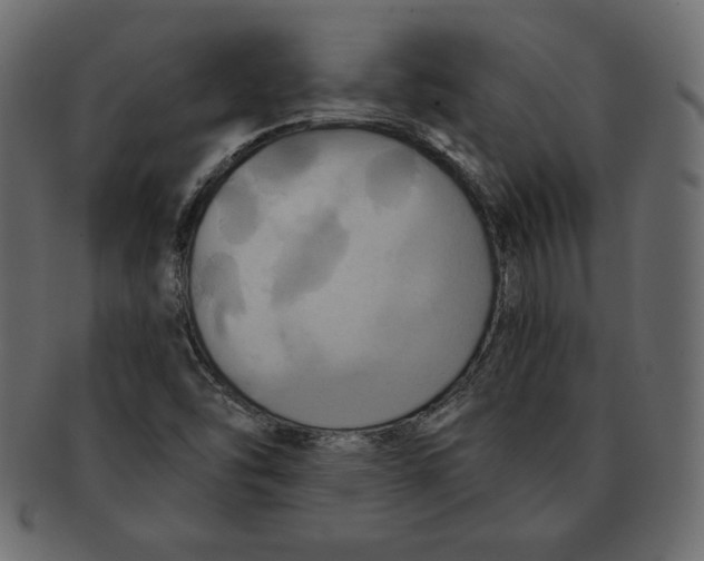 X0000091911454200710031010