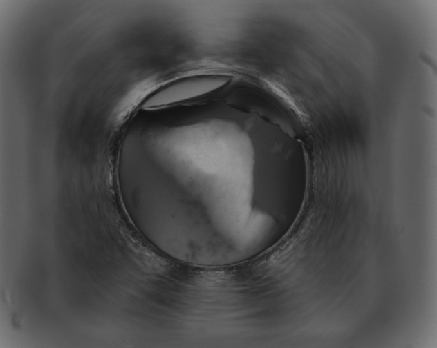 X0000091911455200710031010