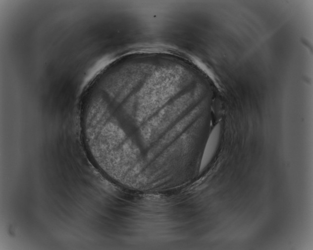 X0000091911456200710031010