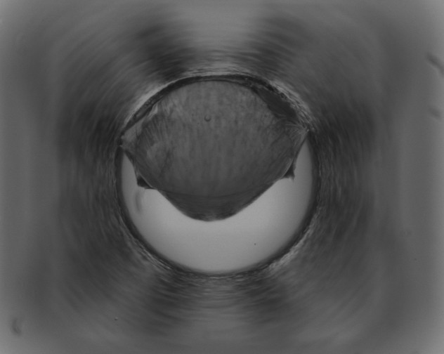 X0000091911457200710031010