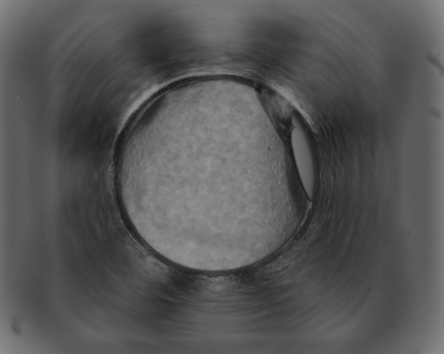 X0000091911460200710031010