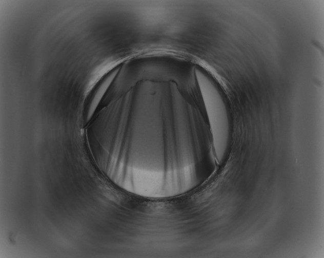 X0000091911461200710031010