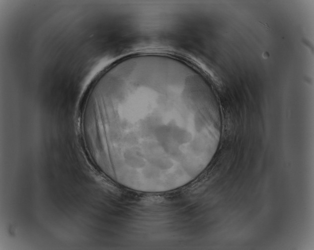 X0000091911462200710031010