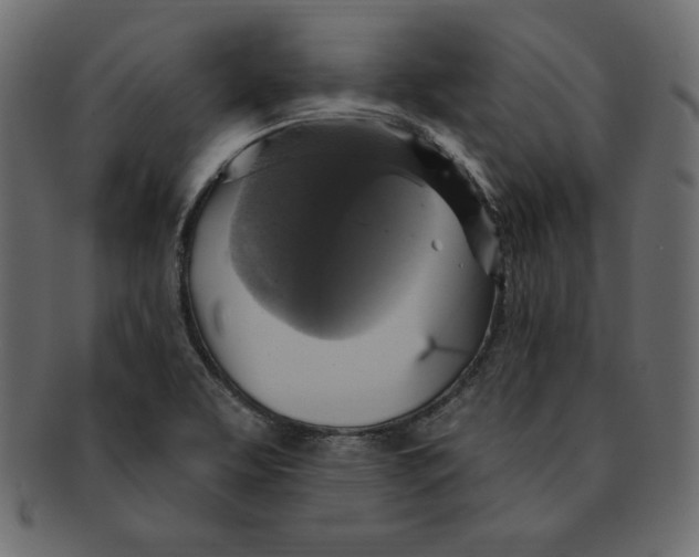 X0000091911463200710031010