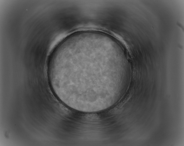 X0000091911464200710031010