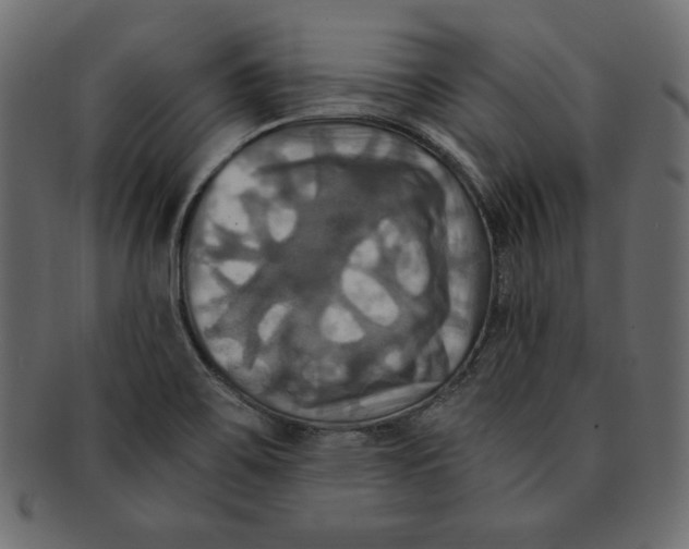 X0000091911467200710031009