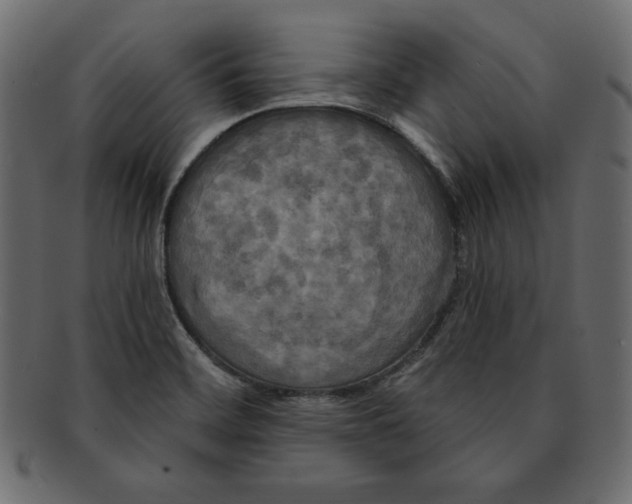 X0000091911468200710031009