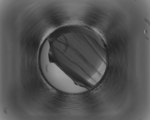 X0000091911469200710031009