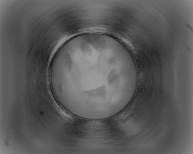 X0000091911470200710031009